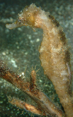 3_�����������_�����꡼�󥷥�å� 2025-12-14 061327.png