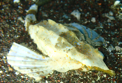 3_�ƥ󥰥Υ��ȥ���_�����꡼�󥷥�å� 2025-12-14 061700.png