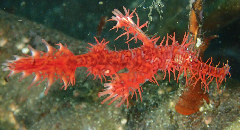 3_˥ե饤꡼󥷥å 2025-11-03 094534.png