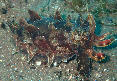 3_�ϥʥ���_�����꡼�󥷥�å� 2026-02-15 103949.png