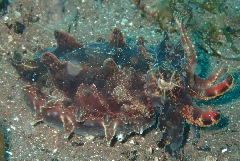 3_�ϥʥ���_�����꡼�󥷥�å� 2026-02-15 104315.png