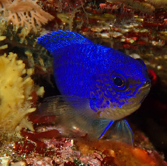 3_��ꥹ��������������꡼�󥷥�å� 2026-01-19 084920.png