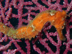 3_�糤�ϡ������꡼�󥷥�å� 2026-01-19 084330.png