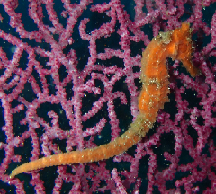 3_�糤�ϡ������꡼�󥷥�å� 2026-01-19 084416.png