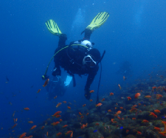 3_�����‗�����꡼�󥷥�å� 2025-12-21 095335.png