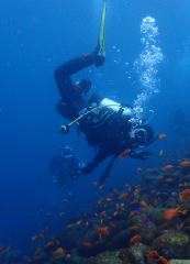 3_�����_�����꡼�󥷥�å� 2025-12-21 095654.png