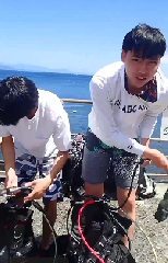 8 ꡼󥷥å 2025-07-21 201138.png